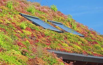 Weaverham living roof systems