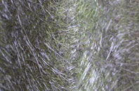 Weaverham fibreglass roof work